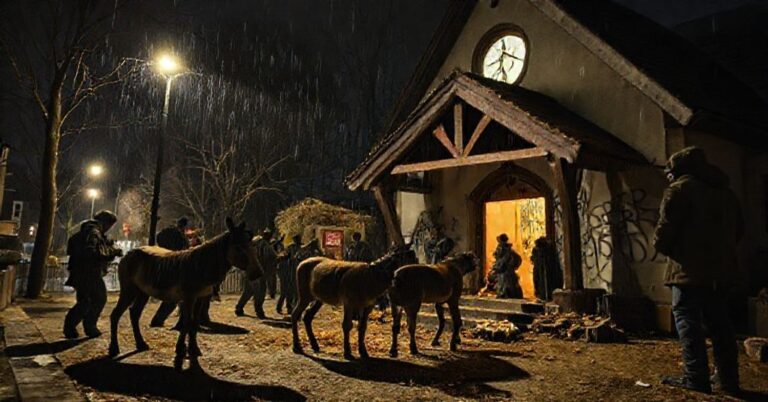 Grupa młodych wandalów atakuje tradycyjną katolicką szopkę bożonarodzeniową w Erbach w Niemczech, bijąc żywe osiołki i profanując pobliski protestancki kościół acts of vandalism and public urination.