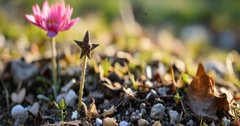 Wizerunek starego katolickiego cmentarza w górach z modlącym się staruszkiem przy grobie