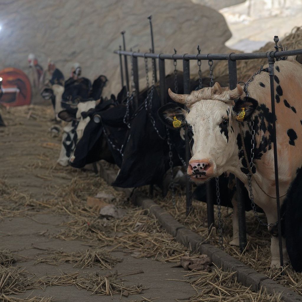Transformed: UE i jej technokratyczne igraszki z rolnictwem: pseudo-reformy bez Bożego ładu